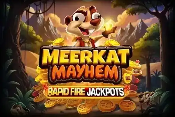 Meerkat Mayhem